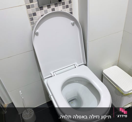אסלה עם מברשת ניקוי ופח אשפה בחדר אמבטיה
